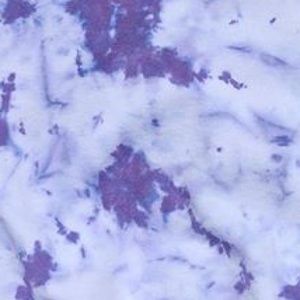 Meet your Posher, Miles